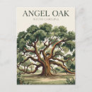 Search for angel oak tree United states