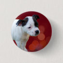Search for black bull badges Puppy