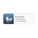 Search for lovebird return address labels Nature