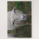 Search for sheep puzzles Nature