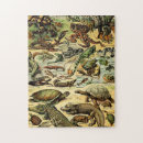 Search for reptile puzzles Tortoises