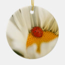Search for daisy christmas tree decorations Summer