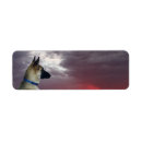 Search for german shepherds return address labels Animals