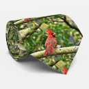 Search for cardinal bird ties Wildlife