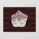 Search for mountain laurel flower postcards Pink