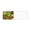 Search for monarch butterfly return address labels Summer