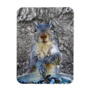Search for critter magnets Nature