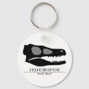 Search for dinosaur raptor key rings Dinosaurs