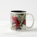 Search for tundra mugs Nature