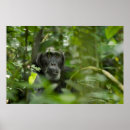Search for hidden art Wildlife
