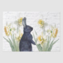 Search for yellow daffodil tissue paper Garden