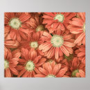 Search for vintage botanical sunflower posters Floral