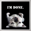 Search for cute camera posters Bulldog