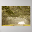 Search for driving posters Usa