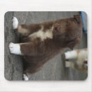Search for sheepdog mousepads Animal