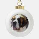 Search for furry christmas tree decorations Canine