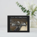 Search for exmoor Somerset