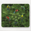 Search for parrot lover mousepads Tropical