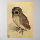 Search for owl decor art Durer