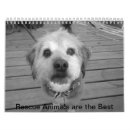 Search for rescue calendars Adoption