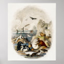 Search for cute baby posters Ocean