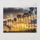 Search for sunset palm postcards California
