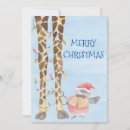 Search for funny bird christmas cards Watercolor