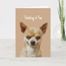 Search for funny hi hello card cards Dog