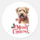 Search for bull terrier lover stickers Wolf