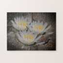 Search for lotus puzzles Nature