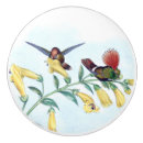 Search for hummingbird knobs and pulls Birds