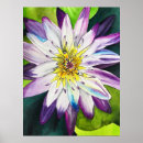 Search for purple lotus flower art Watercolor