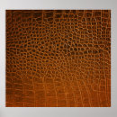 Search for crocodile posters Skin