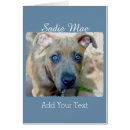Search for american pit cards Apbt