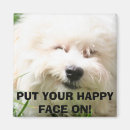 Search for bichons magnets Animals