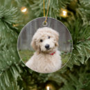 Search for grass christmas tree decorations Animal