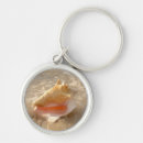 Search for beach shells key rings Nautical