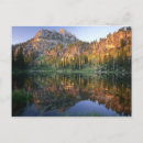 Search for white pine postcards Landscape