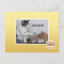 Search for poking postcards I can has cheezburger