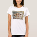 Search for labrador womens tshirts Golden lab