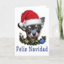 Search for mexican chihuahua cards Dogs