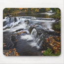 Search for rapids electronics Scenic