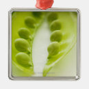 Search for peas in a pod christmas tree decorations Green