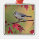 Search for tufts christmas tree decorations Titmouse
