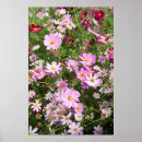 Search for close ups art Colorful