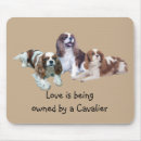 Search for cavalier king charles spaniels mousepads Cavaliers