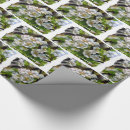 Search for apple blossom gift wrap Blossoms