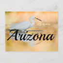 Search for sun set postcards Nature