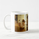 Search for cavies mugs Rodent
