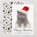 Search for crazy seasonal invitations Cat